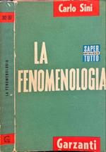 fenomenologia