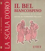 Il bel biancospino