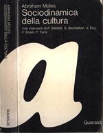 Sociodinamica della cultura