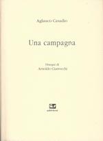 Una campagna