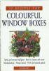 50 recipes for Colourful window boxes