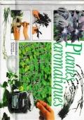 Plantes Aromatiques