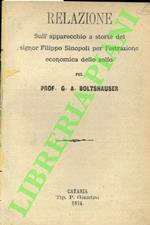 Relazione sull'apparecchio a storte del signor Filippo Sinopoli per l'estrazione economica dello zolfo