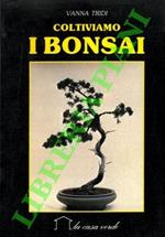 Coltiviamo i bonsai