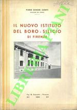 Il nuovo istituto del boro - silicio di Firenze