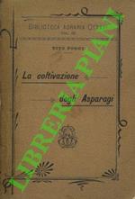 La coltivazione degli asparagi