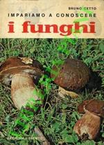 Impariamo a conoscere i funghi