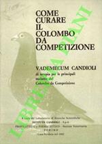 Come curare il colombo da competizione