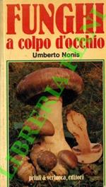 Funghi a colpo d'occhio