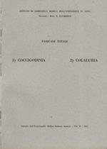 Coccigodinia - Colaluria