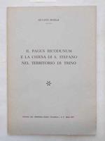 Il Pagus Ricodunum e la chiesa di S. Stefano nel territorio di Trino