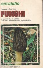 Funghi Cercarli Riconoscerli Raccoglierli