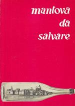 Mantova da Salvare Mensile Ricerca Politica