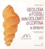 Geologia e fossili delle Dolomiti di Cortina e dintorni