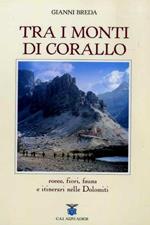 Tra i monti di corallo. Rocce, fiori, fauna e itinerari nelle Dolomiti