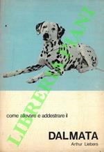 Come allevare e addestare il Dalmata