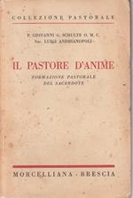 Pastore D'anime Formazione Sacerdote