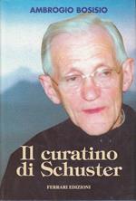 Il Curatino Di Schuster