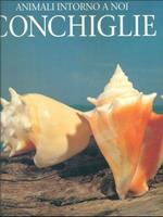 Conchiglie