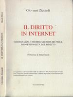 Il diritto in internet