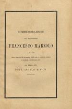 Commemorazione del professore Francesco Marzolo letta nella seduta del 28 novembre 1880 del R.Istituto veneto di scienze, lettere ed arti