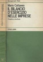 Il bilancio d’esercizio nelle imprese