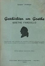 Geschichten um Goethe. Ghoethe fanciullo. Con testo in lingua tedesca