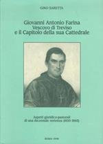 Giovanni Antonio Farina vescovo di Treviso e il Capitolo della sua Cattedrale: aspetti giuridico-pastorali di una decennale vertenza (1850-1860): studio sulla Causa Tarvisina jurium capitularium, definita il 22 settembre 1860 presso la S. Congregazio