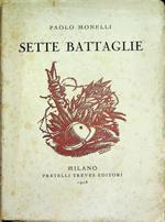 Sette battaglie: racconto di un pellegrinaggio ai luoghi della guerra: seguito da un sermone per l'anno decimo