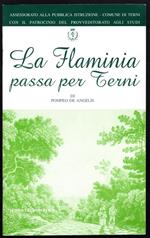 La Flaminia passa per Terni