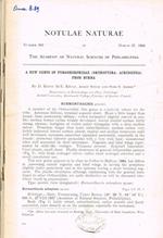 Notulae naturae of the academy of natural sciences of Philadelphia. Number 363, 364, 365, 366, 367, 368, 369, 370, 371, 372, march 27-october 20, 1964