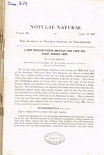 Notulae naturae of the academy of natural sciences of Philadelphia. Number 295, 296, 297, 298, 299, 300, 301, 302, 303, april 12-december 31, 1957