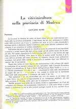 La vitivinicoltura nella provincia di Modena