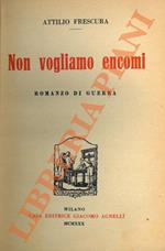 Non vogliamo encomi. Romanzo di guerra