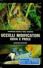 Uccelli nidificatori: uova e prole