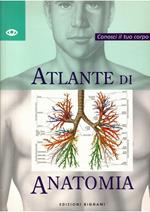 Atlante Di Anatomia