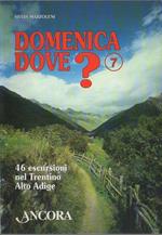 Domenica dove?: Volume 7: 46 escursioni nel Trentino Alto Adige