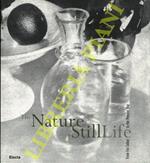 The Nature of Still Life: From Fox Talbot to the Present Day