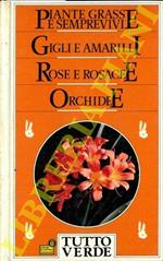 Tutto Verde. Guida alla coltivazione di piante e fiori. Piante grasse e semprevivi. Gigli e amarilli. Rose e Rosacee. Orchidee