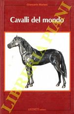 Cavalli del mondo