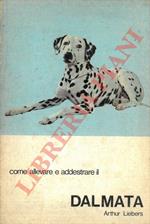 Come allevare e addestare il Dalmata