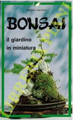 Bonsai il giardino in miniatura