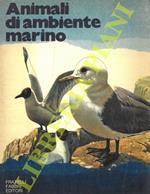 Animali di ambiente marino