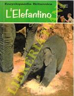 L' elefantino