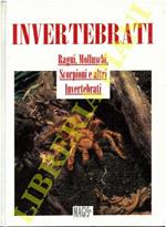 Invertebrati. Ragni, molluschi, scorpioni e altri invertebrati