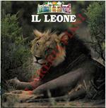 Il leone. Animali da salvare