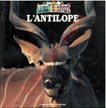 L' antilope. Animali da salvare