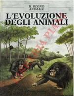 L' evoluzione degli animali