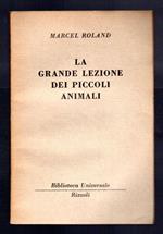 La grande lezione dei piccoli animali