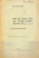 Delle due Curtes Trentine Navium e Sagum dell'anno 888 (nuova interpretazione storica)